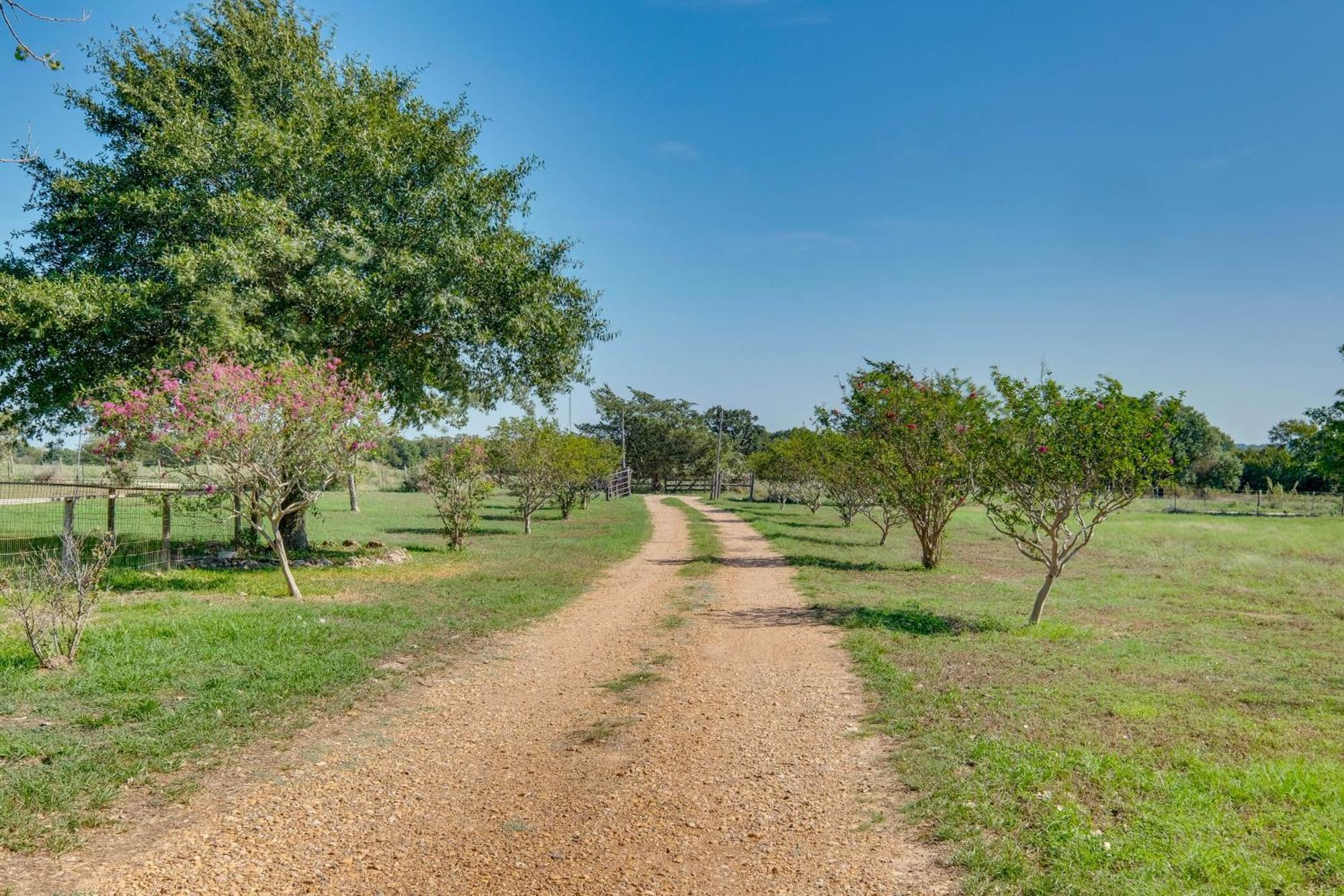 Delightful Carmine Studio On Farm Near Round Top! Exterior foto